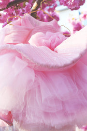 Alice Pink Lace Dress