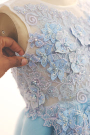 Steam Dress