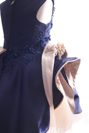BlueRose Dress - Dear Liline