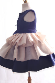 BlueRose Dress - Dear Liline