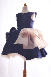 BlueRose Dress - Dear Liline